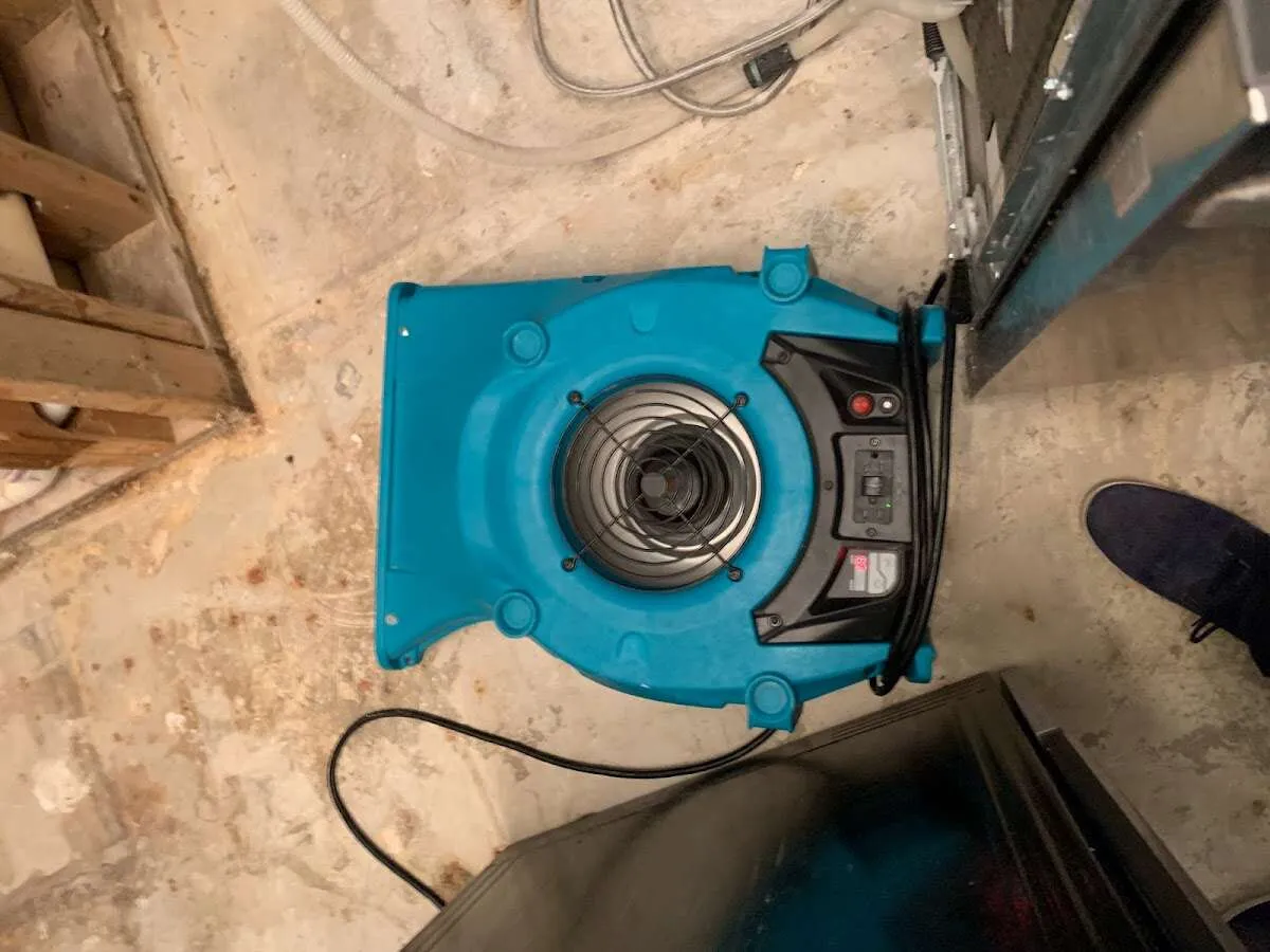 Air mover drying equipment for Mold Remediation & Removal in Palmetto Estates